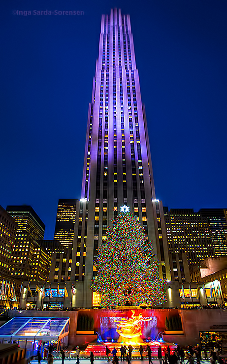 TP Vertical 30 Rock tree 12 5 14